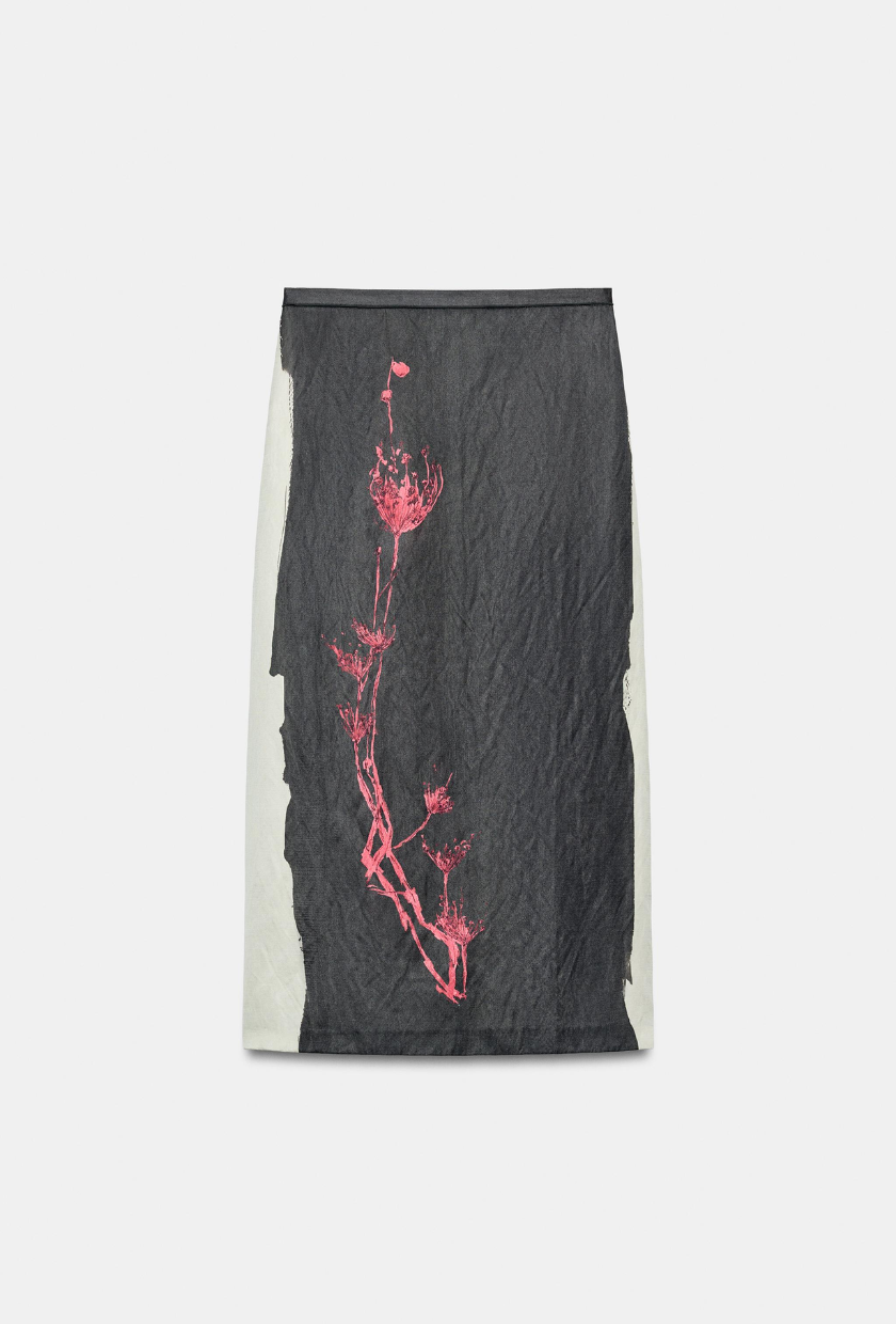 芒果