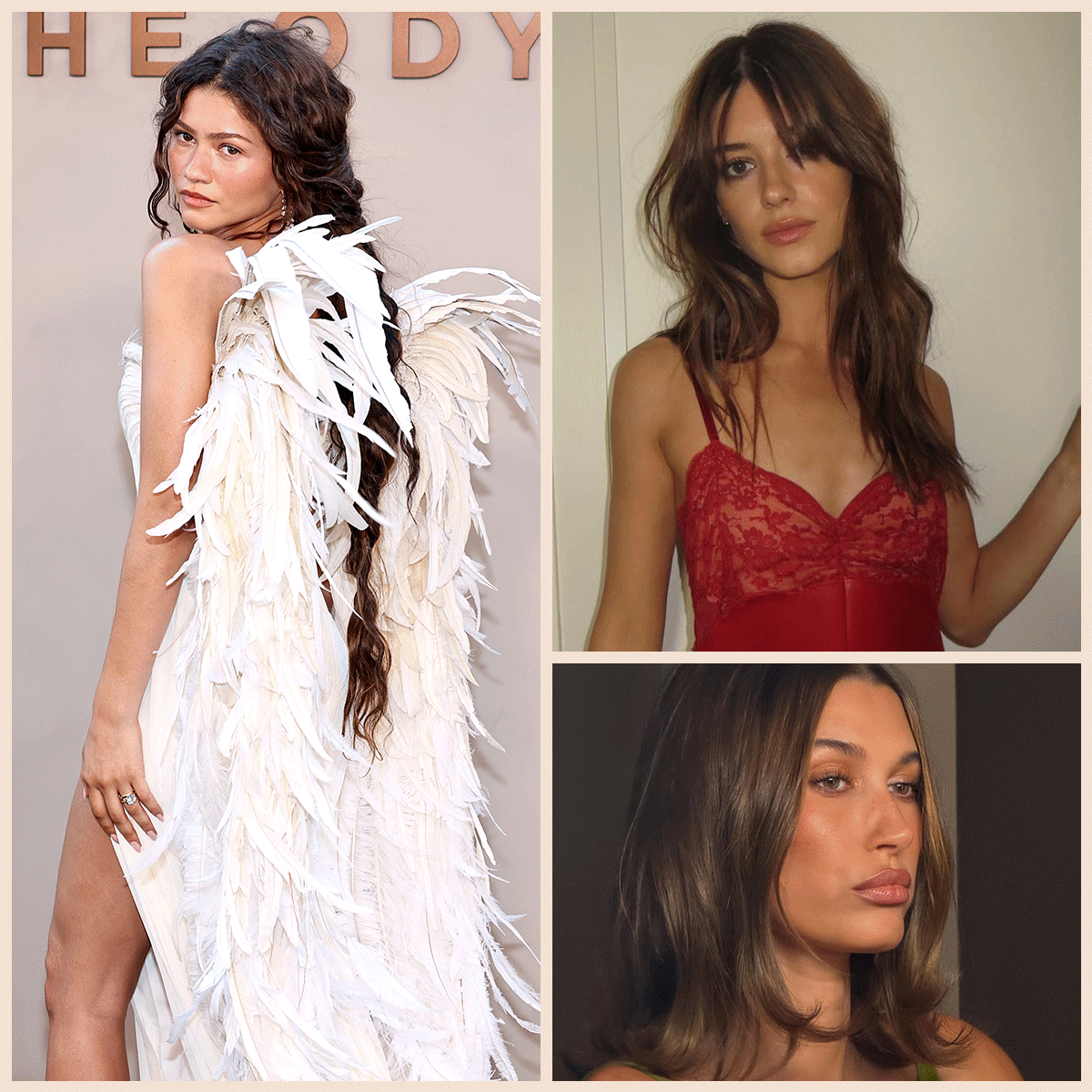 由 Zendaya、Jasmine Tookes、Daisy-Edgar Jones、Hailey Bieber、Anok Yai 和深色頭髮的影響者組成的拼貼畫。