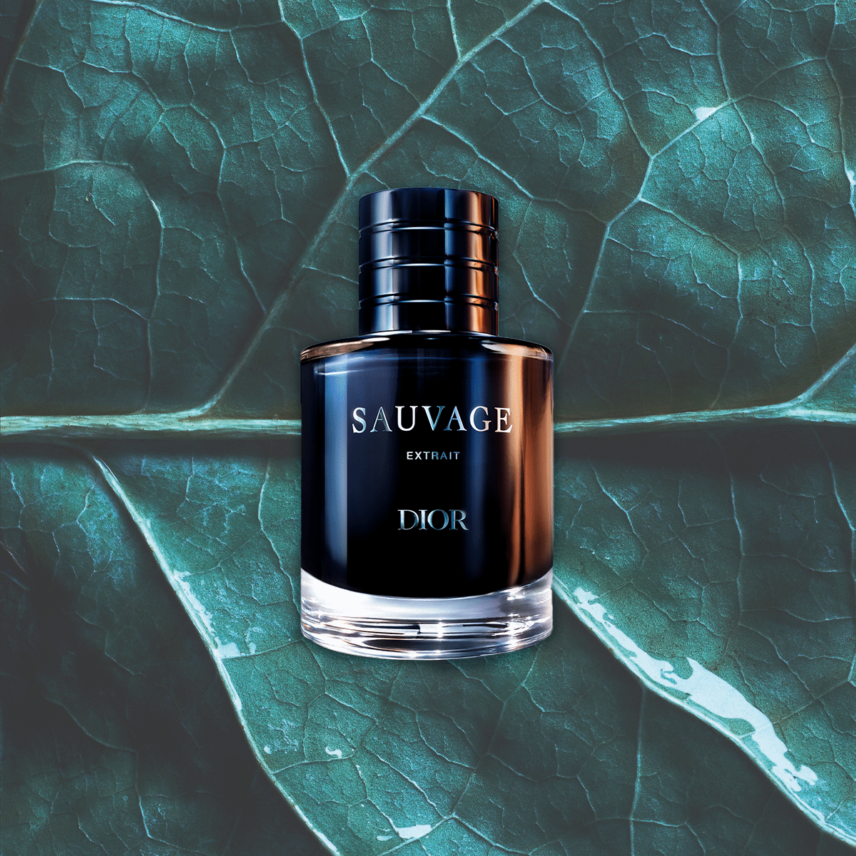 Dior Sauvage Extrait 在樹葉、柑橘和木材的閃爍 gif 上